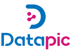 Datapic — logo